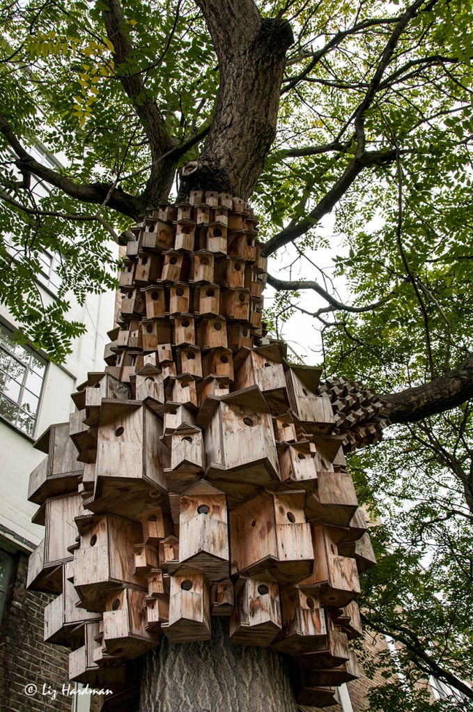 Condos for birds and bugs.