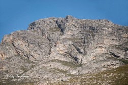Cape fold mountains