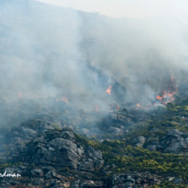 Fire is a part of the natural cycle in maintaining the health of the fynbos plant species.