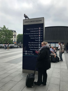 Pluto, perched outside the King's Cross station